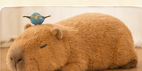 カピバラのぬいぐるみ