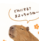 ひょっこり顔を出すカピバラ